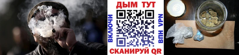 Канабис OG Kush  Димитровград 